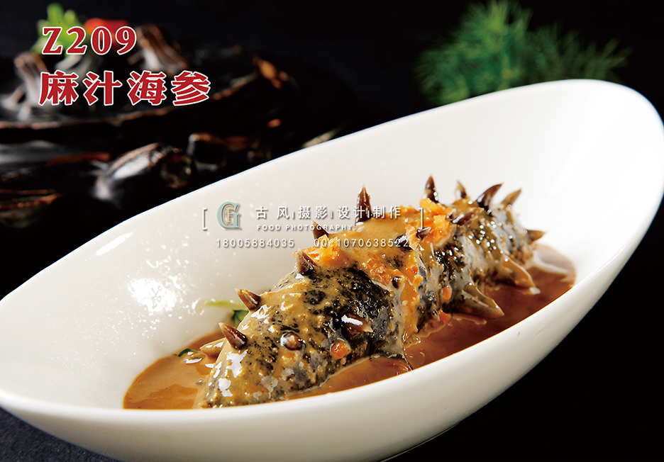 Z209麻汁海参 副本