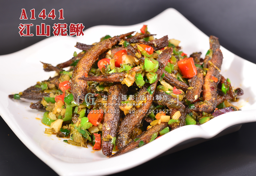 A1446江山大桥泥鳅 副本