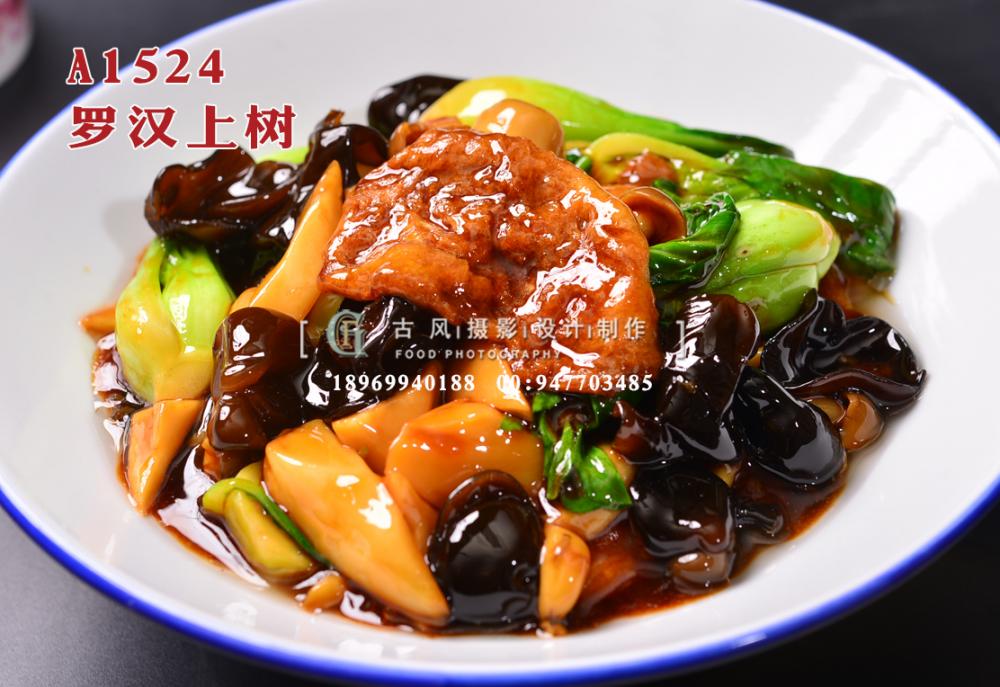 A1524罗汉上树 (2)
