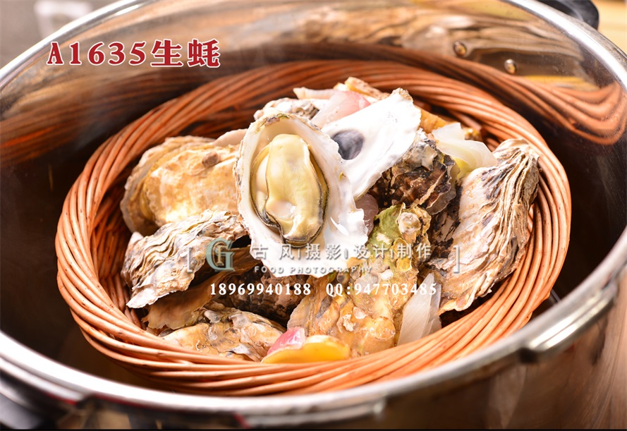 A1635生蚝