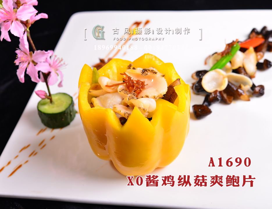 A1690XO酱鸡纵菇爽鲍片