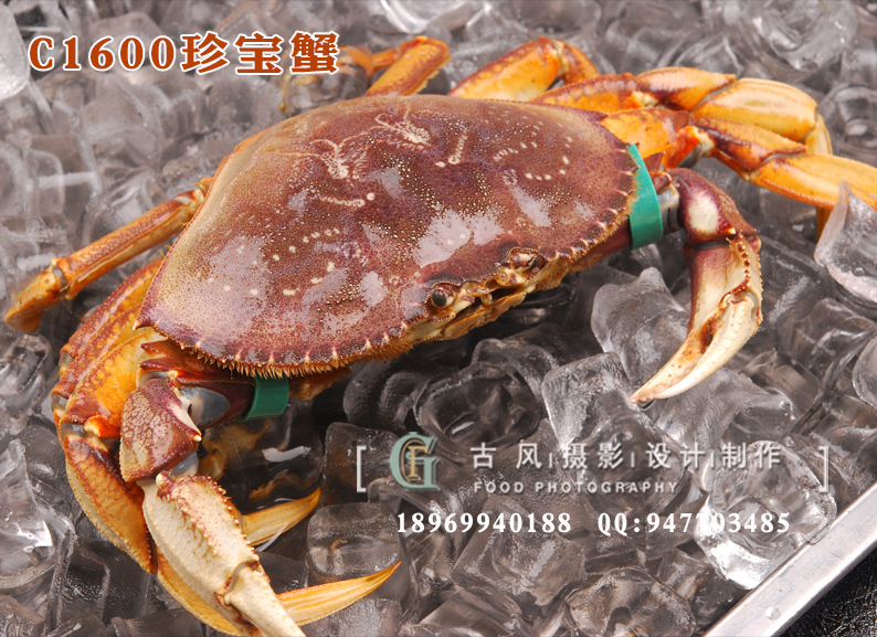 C1600珍宝蟹1