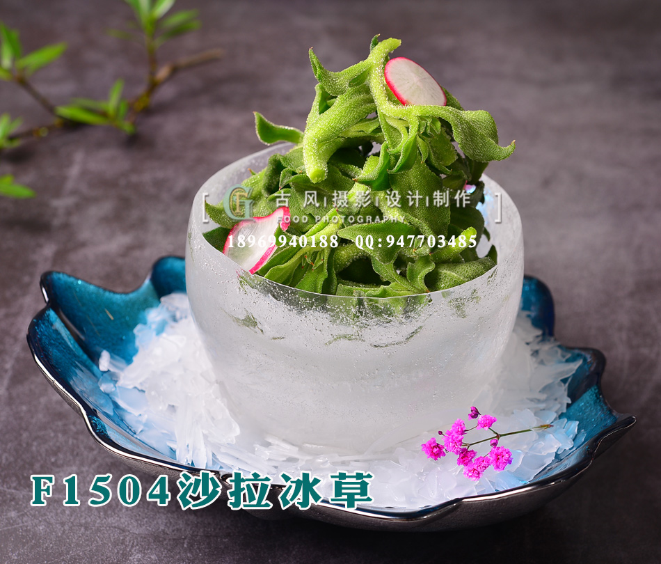 F1504沙拉冰草