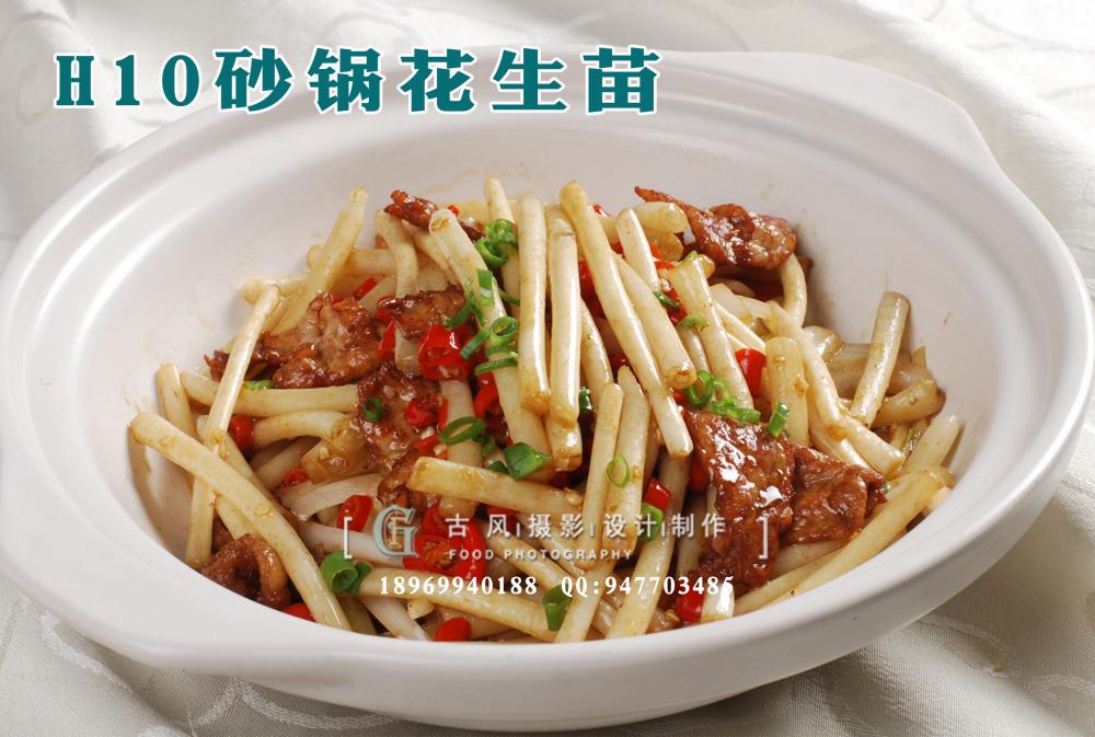 H10砂锅花生苗