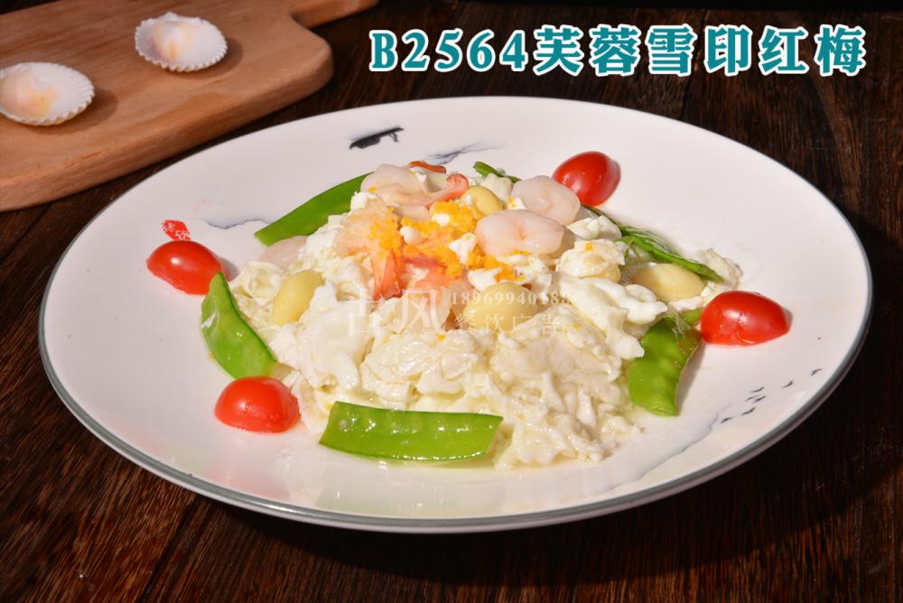 B2564芙蓉雪印红梅 (1)