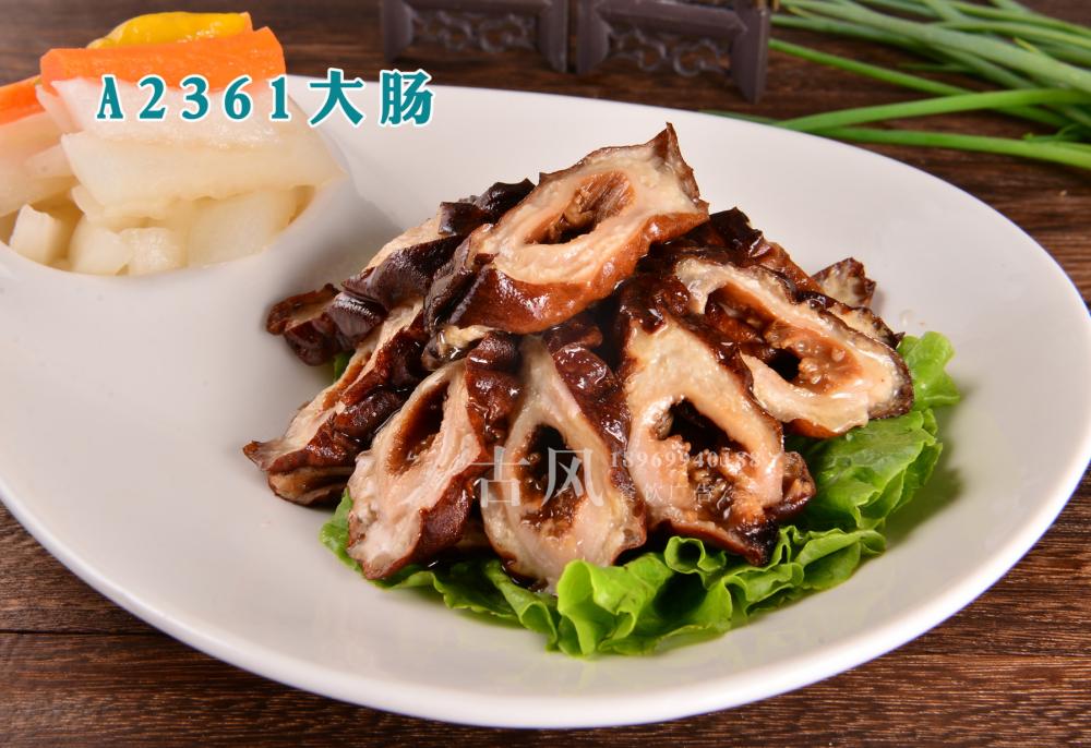 A2361大肠