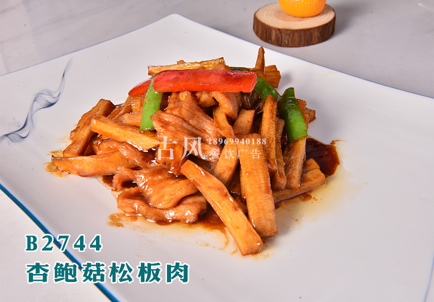 B2744杏鲍菇松板肉