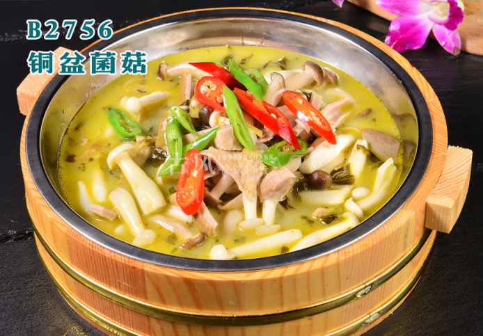 B2756铜盆菌菇