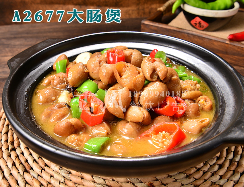 A2677大肠煲