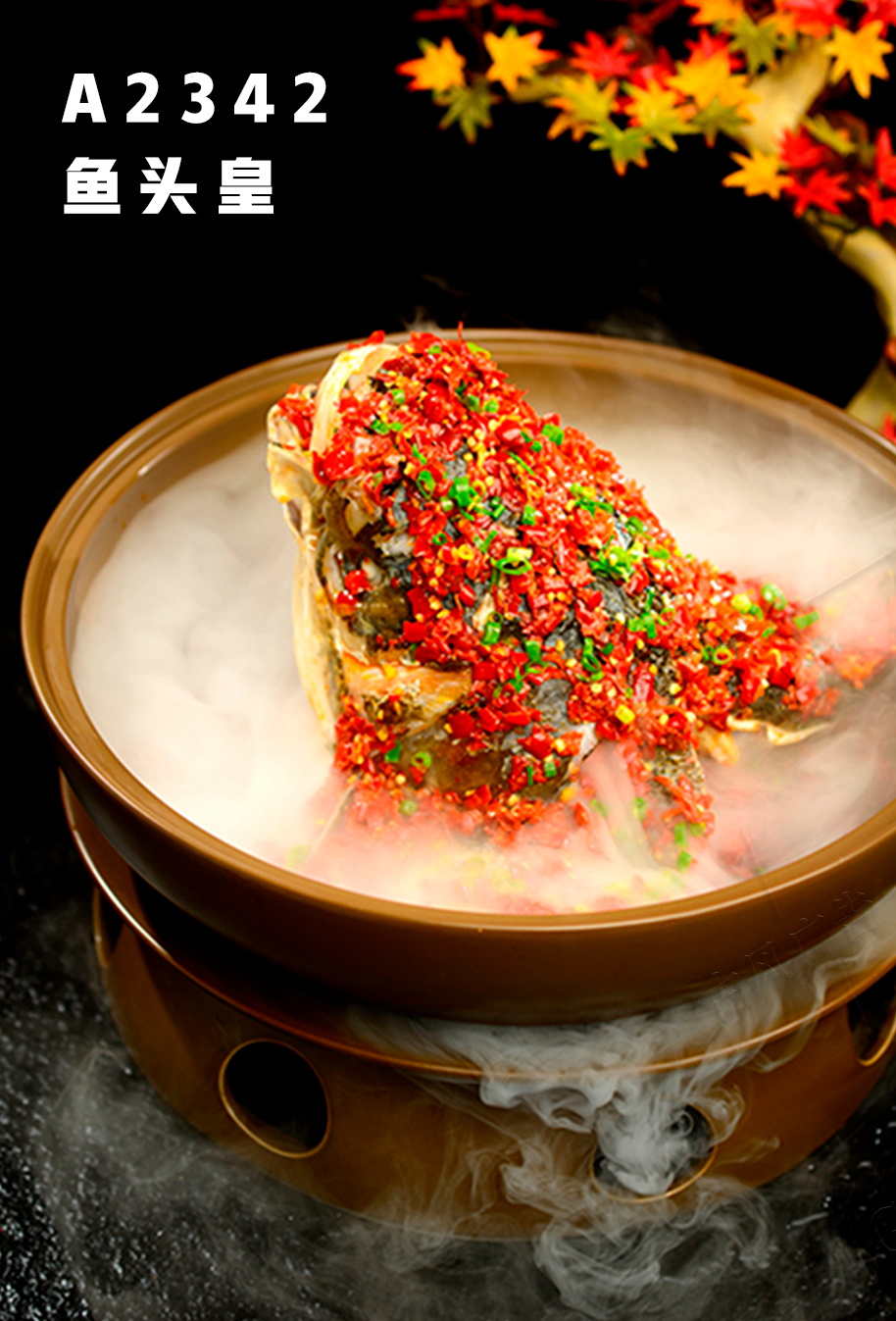 A2342鱼头皇