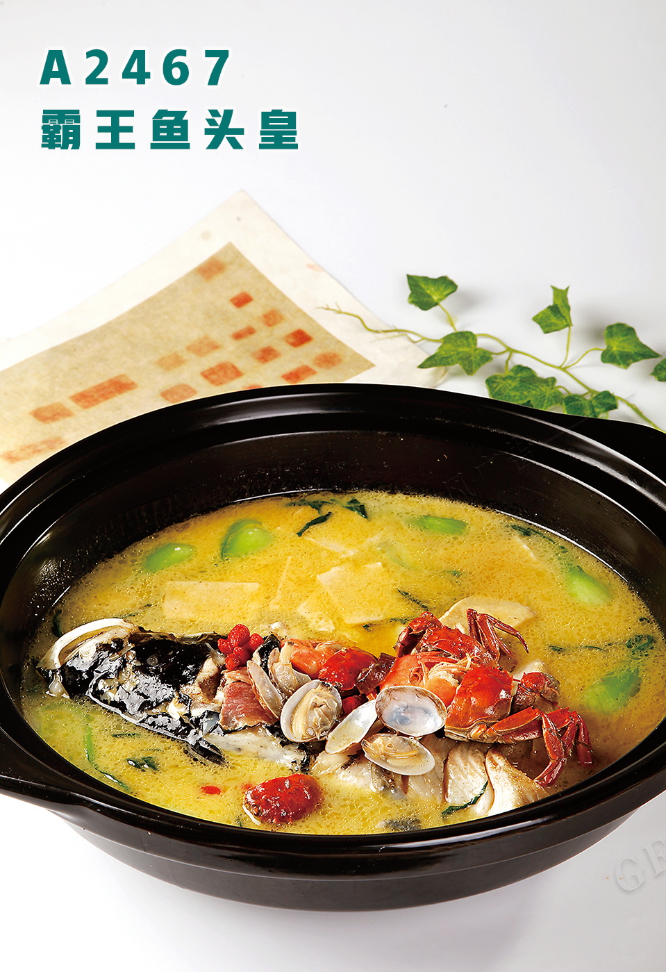 A2467霸王鱼头皇