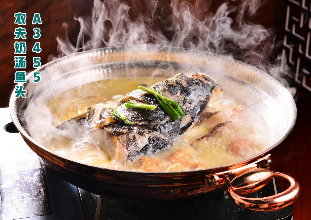 A3455农夫奶汤鱼头