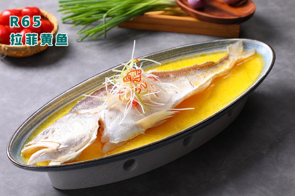 R65拉菲黄鱼