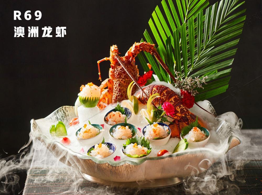 R69澳洲龙虾