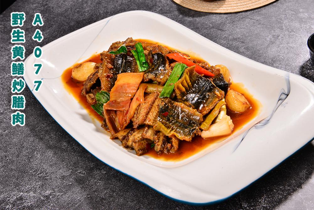 A4077野生黄鳝炒腊肉
