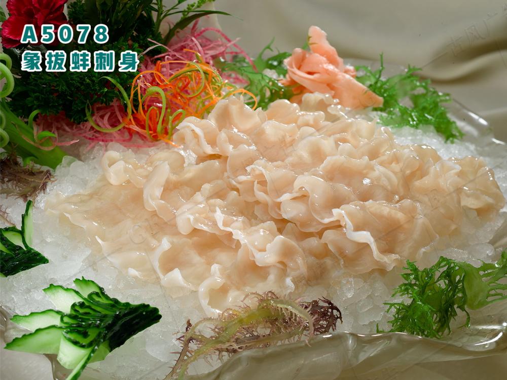 A5078象拔蚌刺身