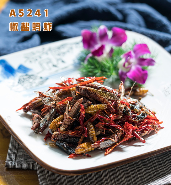 A5241椒盐蚂蚱