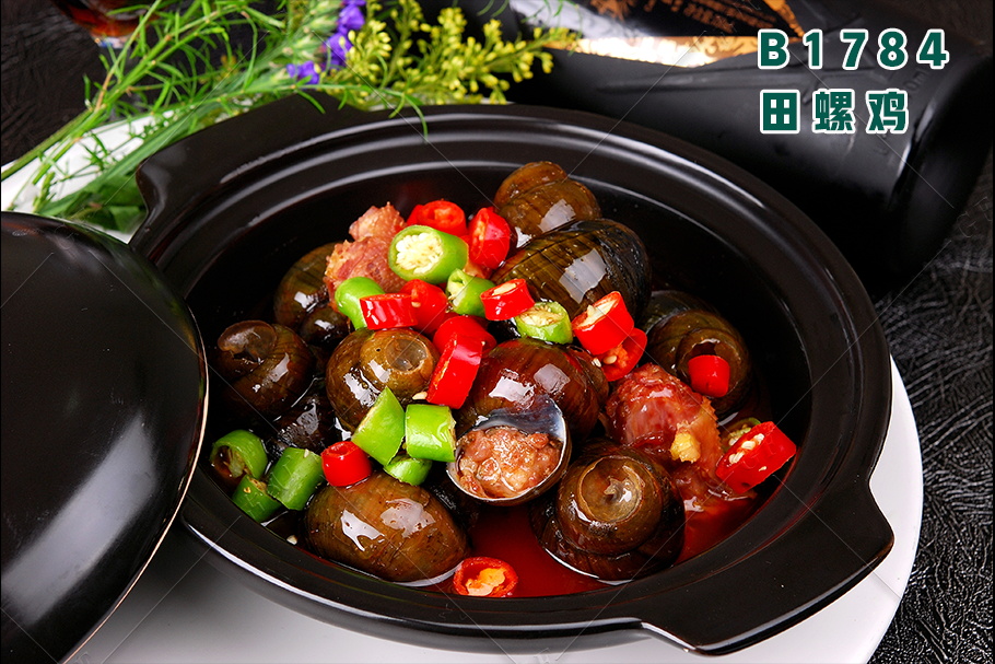 B1784田螺鸡