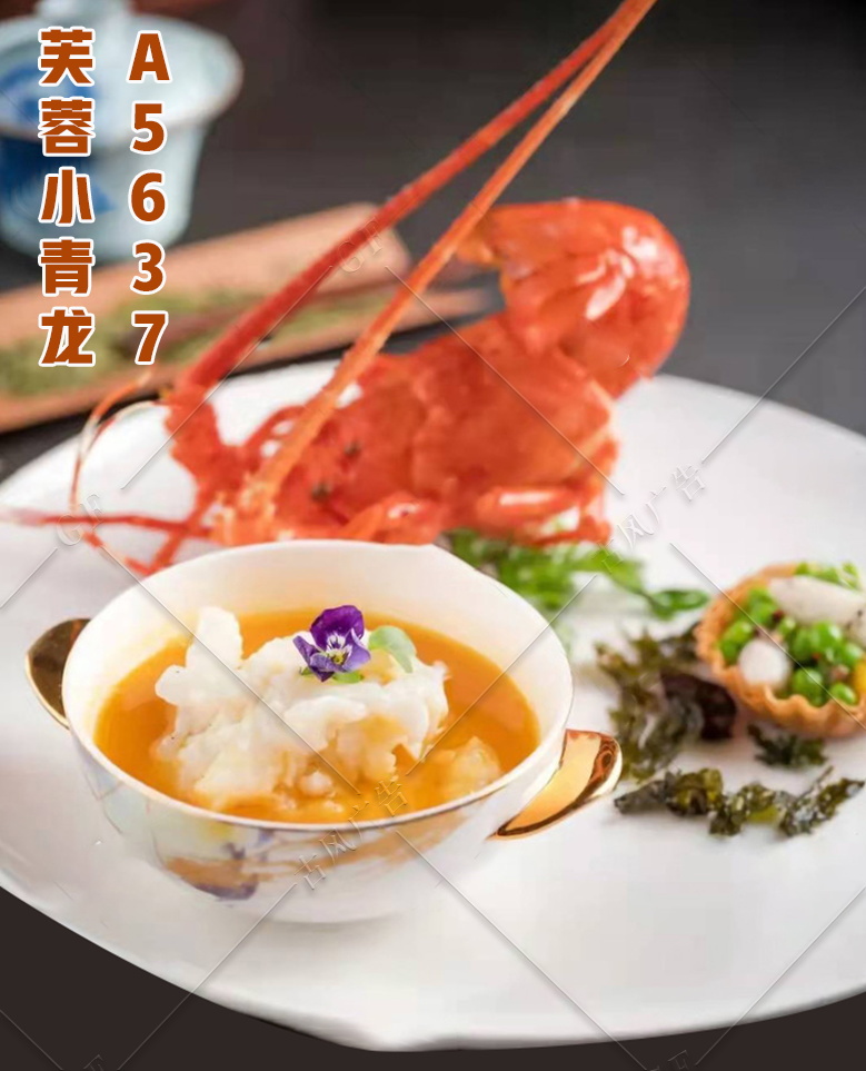 A5637芙蓉小青龙