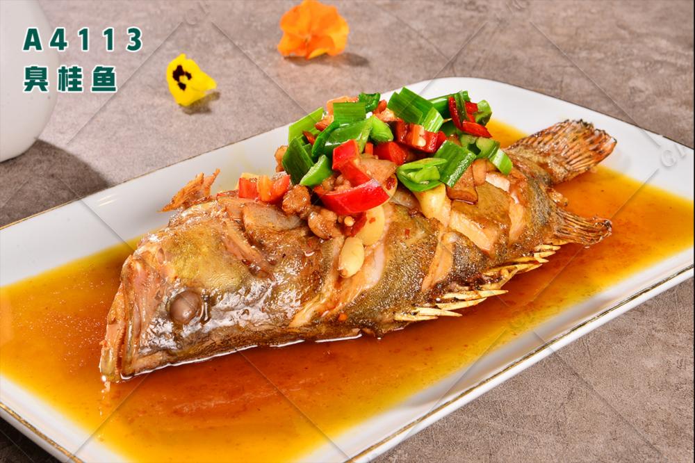 A4113臭桂鱼