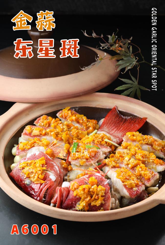 A6001金蒜东星斑