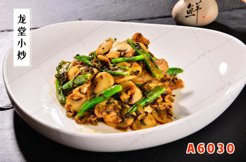 A6030龙堂小炒