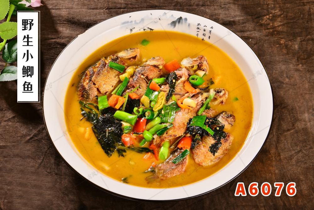 A6076野生小鲫鱼