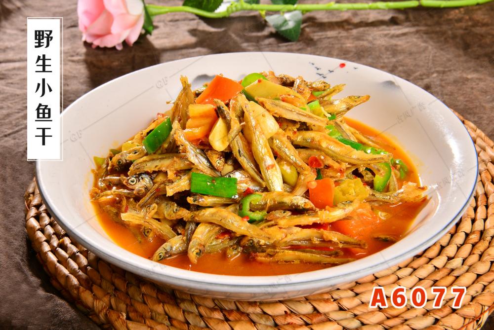 A6077野生小鱼干