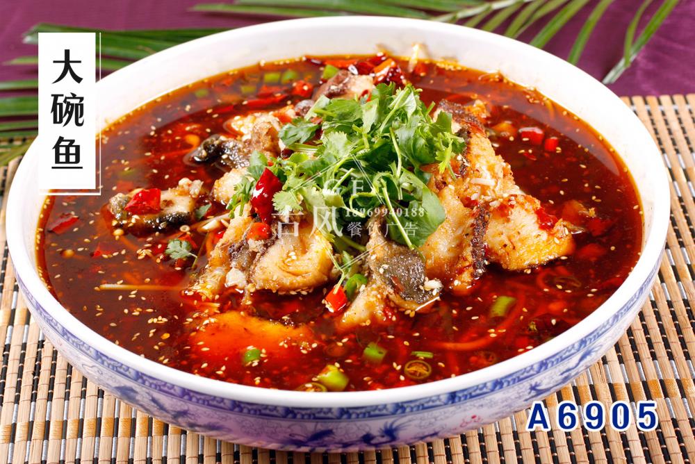 A6905大碗鱼