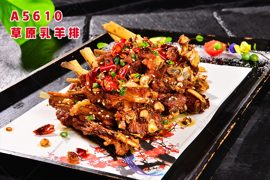 A5610草原乳羊排