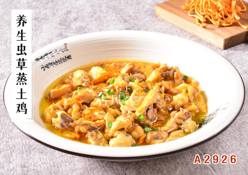 A2926养生虫草蒸土鸡