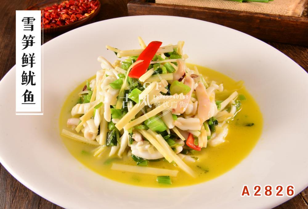 A2826雪笋鲜鱿鱼