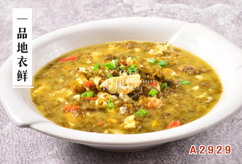 A2929一品地衣鲜