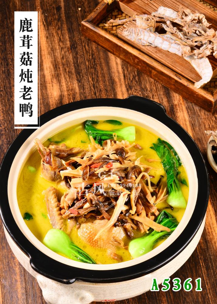 A5361鹿茸菇炖老鸭