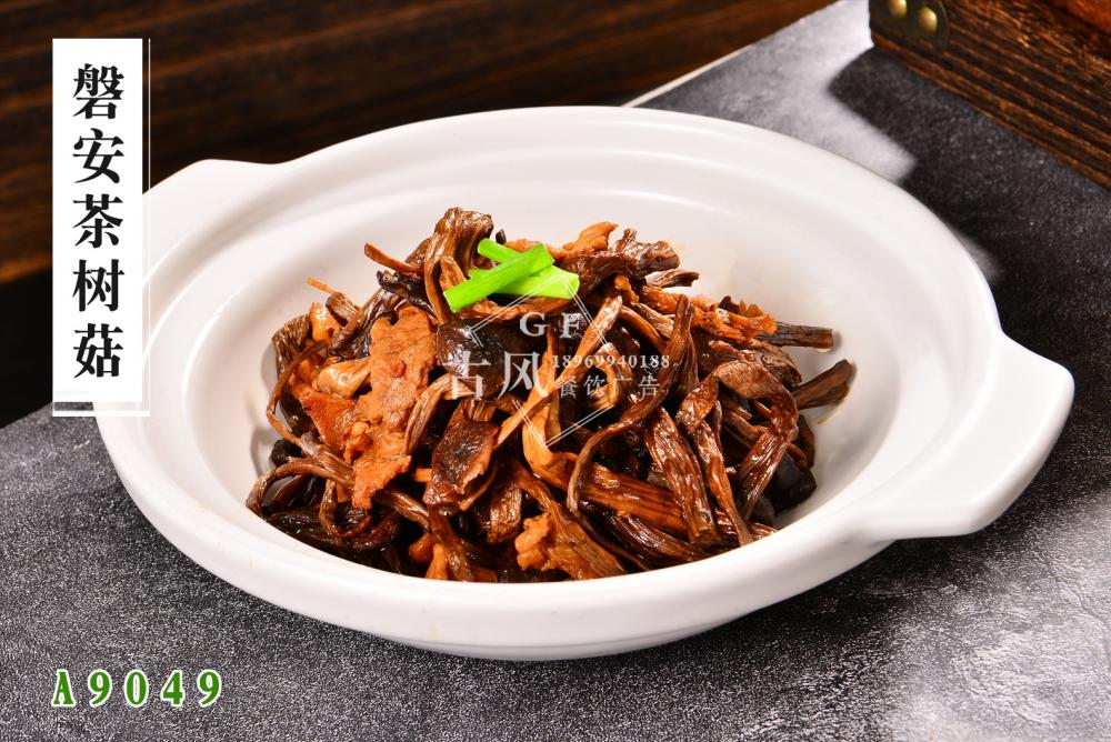 A9049磐安茶树菇