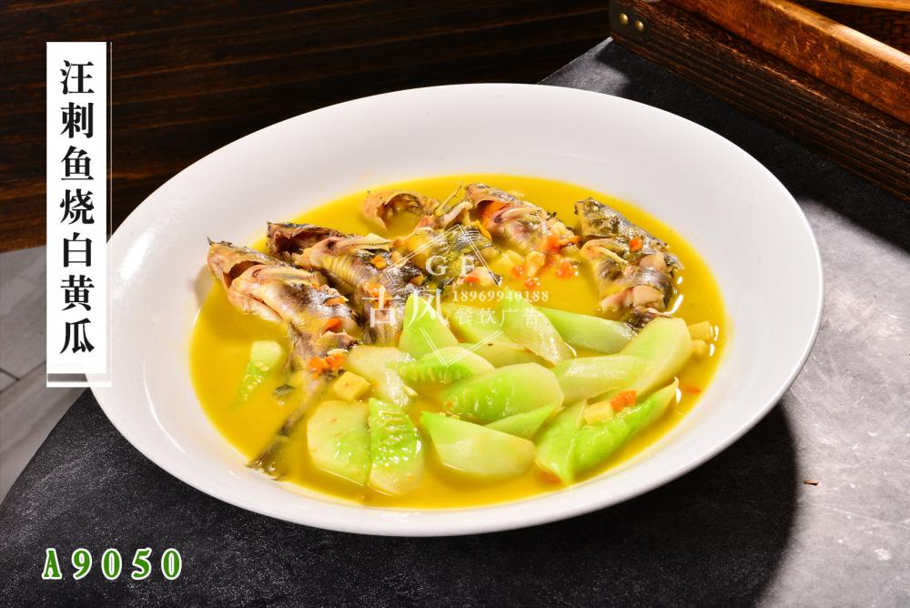 A9050汪刺鱼烧白黄瓜