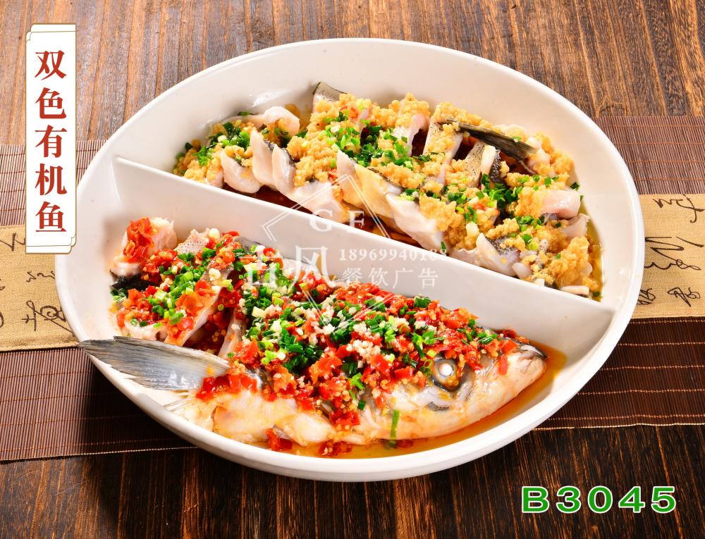 B3045双色有机鱼