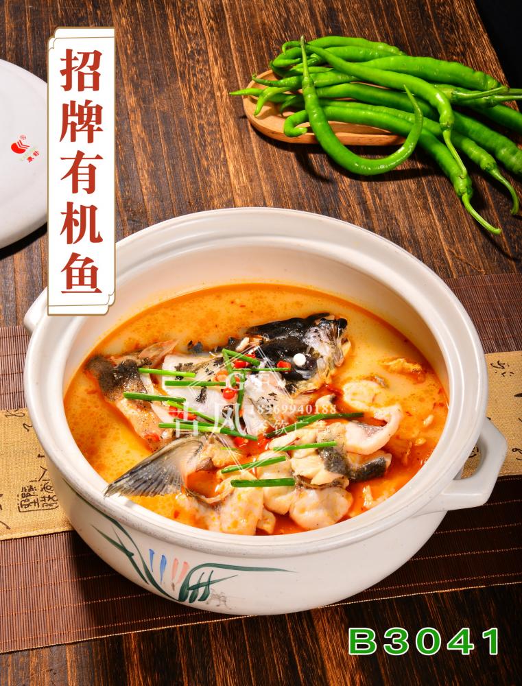 B3041招牌有机鱼