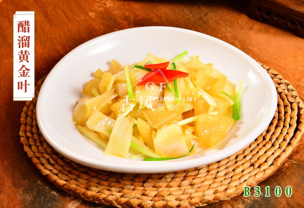 B3100醋溜黄金叶