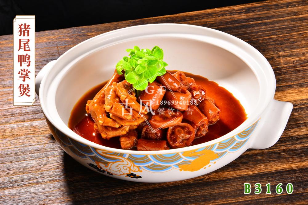 B3160猪尾鸭掌煲