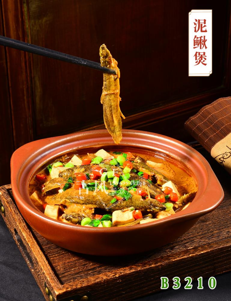 B3210泥鳅煲