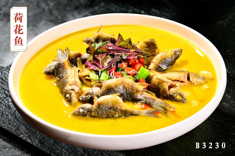B3230荷花鱼