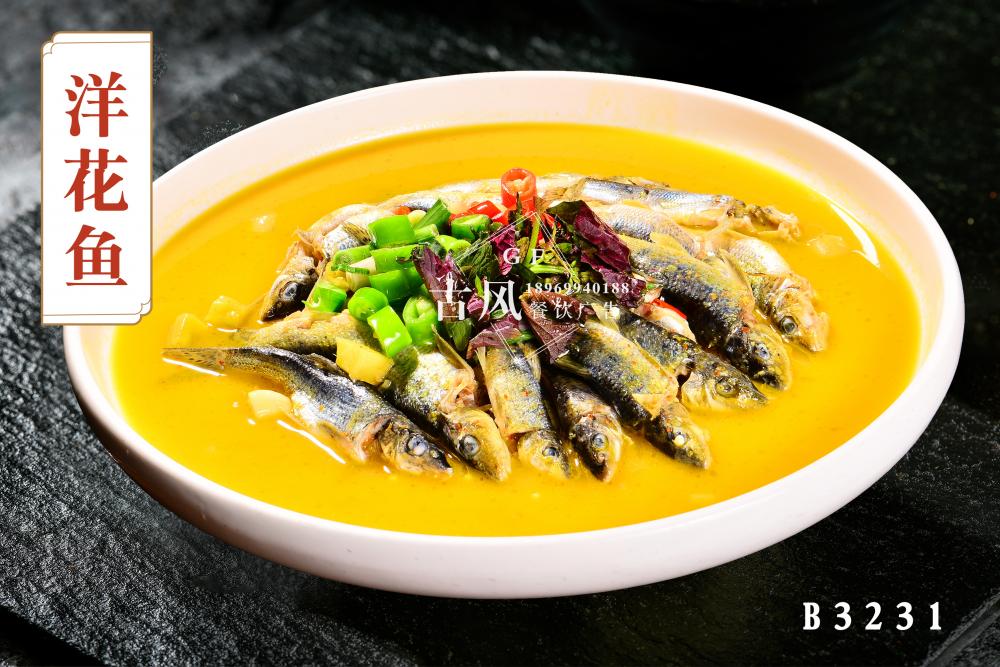 B3231洋花鱼