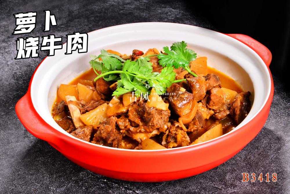 B3418萝卜烧牛肉