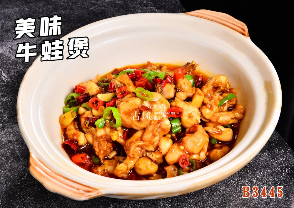B3445美味牛蛙煲