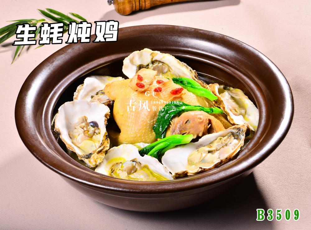 B3509生蚝炖鸡