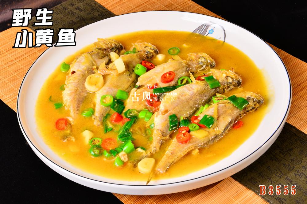 B3555野生小黄鱼