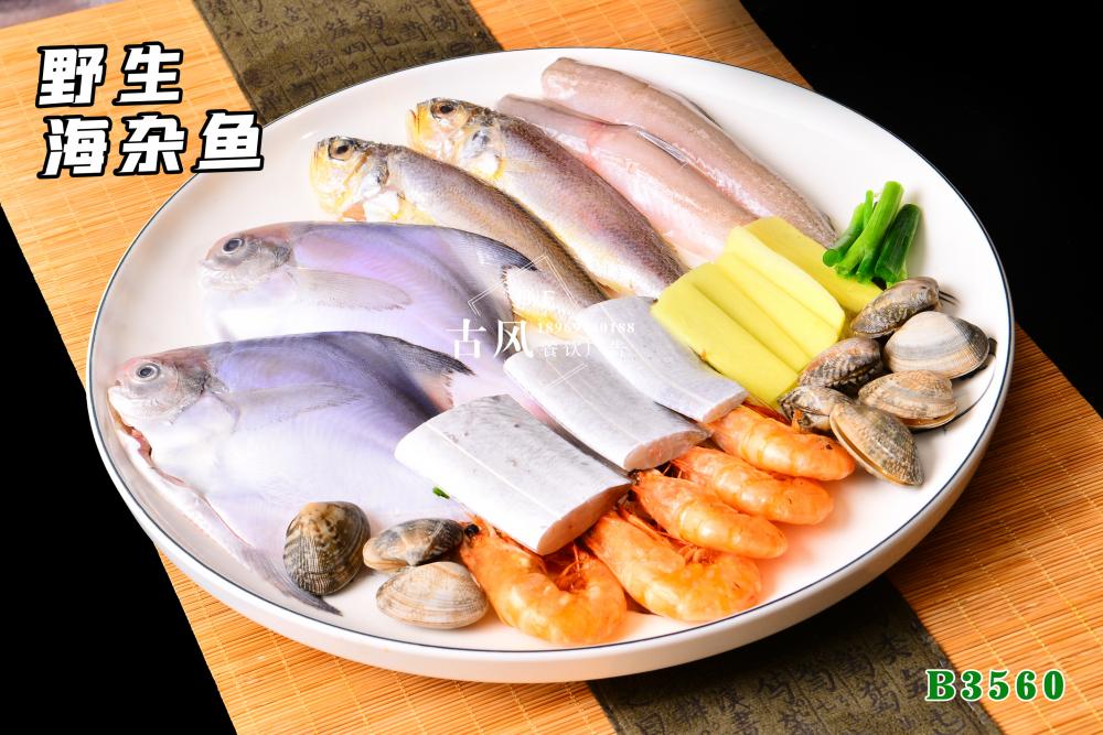 B3560野生海杂鱼
