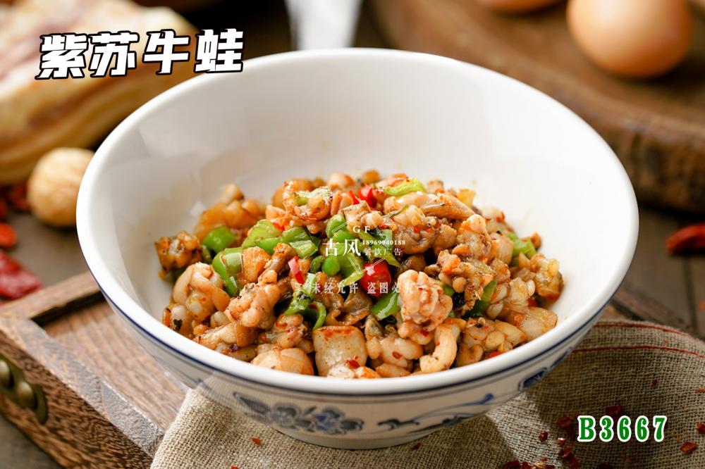 B3667紫苏牛蛙