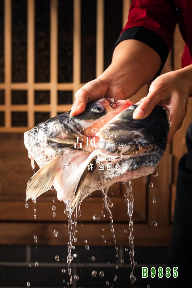 B9835鲜活鱼头